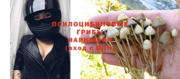 а пвп мука Бугульма