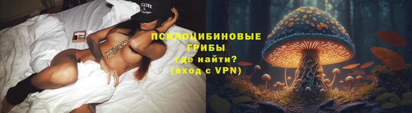 jwh Бородино