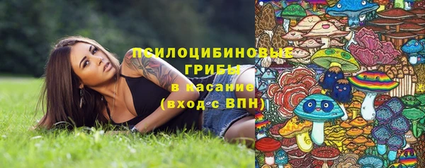 jwh Бородино