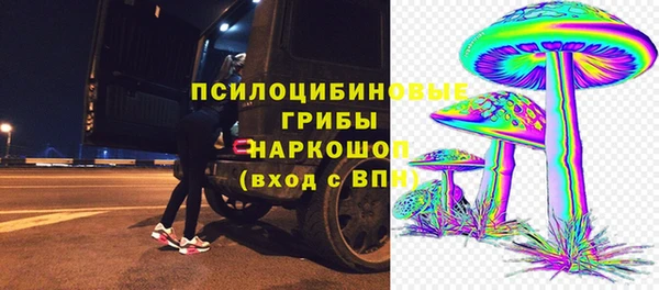 jwh Бородино