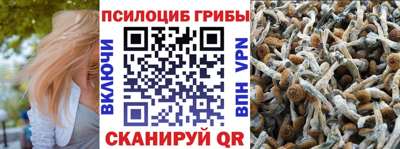 Псилоцибиновые грибы MAGIC MUSHROOMS  kraken ONION  Иноземцево  сколько стоит 